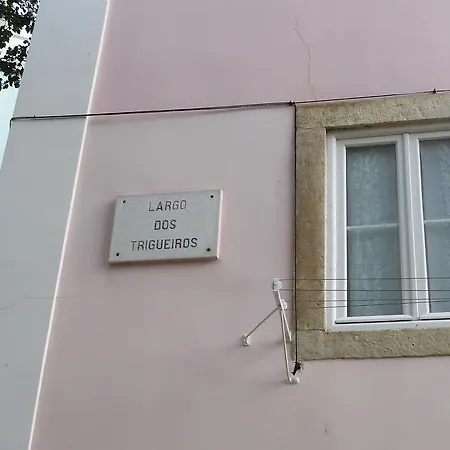 Apartmán Dreaming - Trigueiros