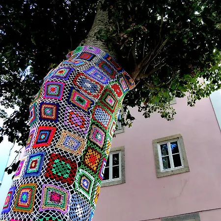 Apartment Dreaming - Trigueiros *